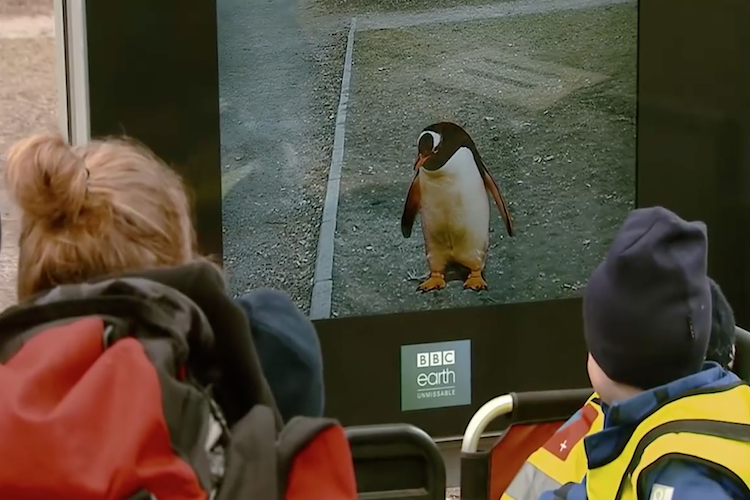 bus shelter advertising