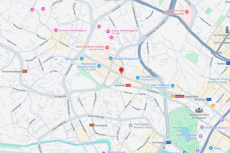 Orchard Rd, Orchard, Central Region (opposite Orchard Building)