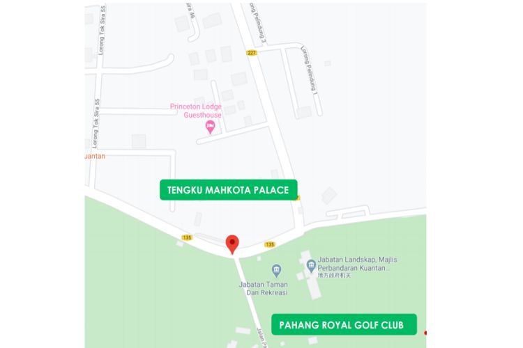 Jalan Teluk Cempedak, Pahang