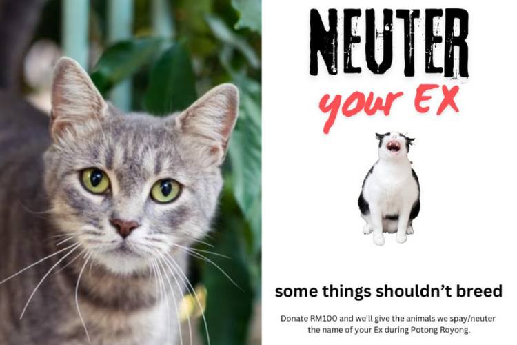 Neuter Your Ex? Malaysia