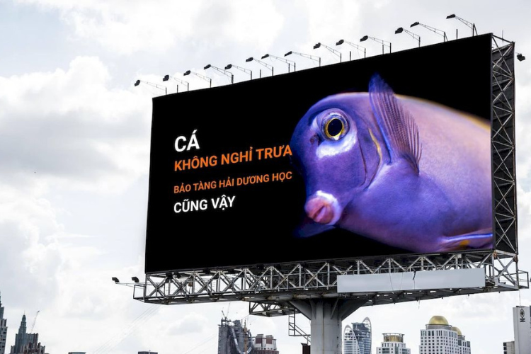 Advertising on pedestrian overpasses